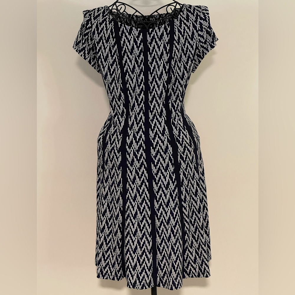 Dark Navy and White Dress